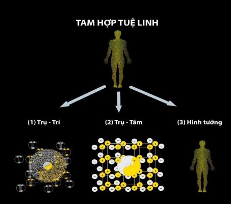 cấu tạo tuệ linh