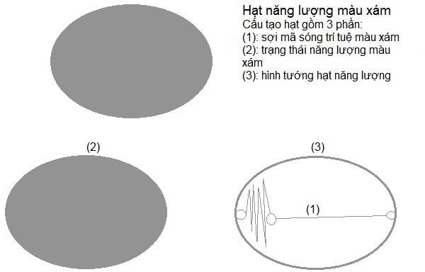 quy luật nhân quả 01