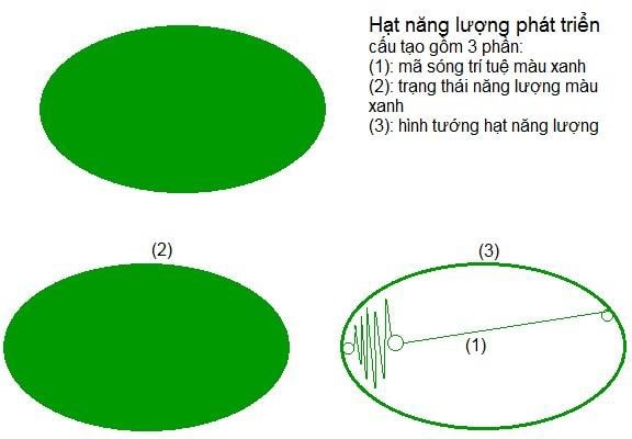 quy luật nhân quả
