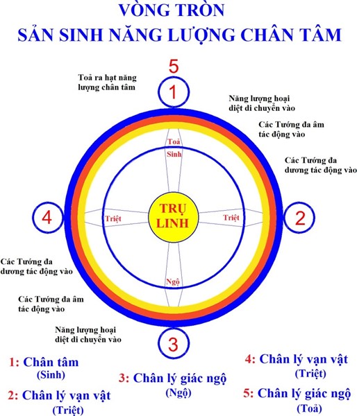 Vòng tròn sản sinh hạt năng lượng chân tâm